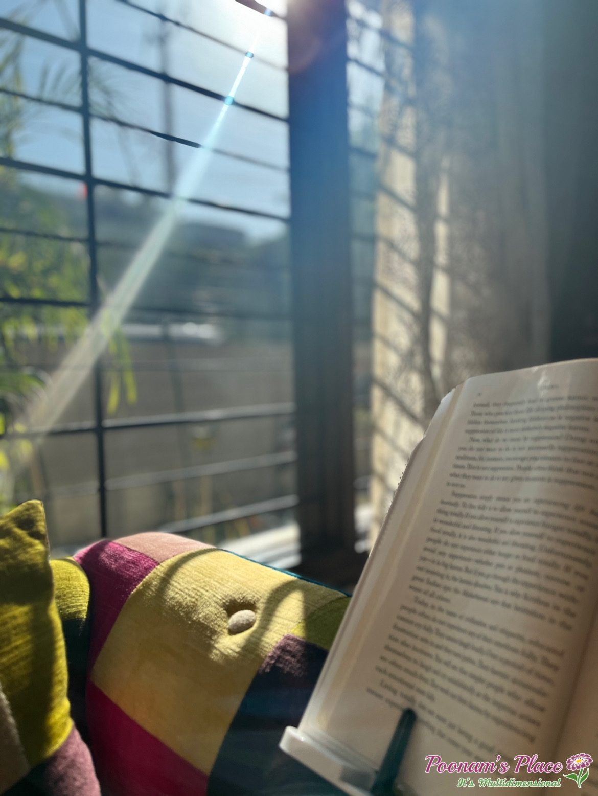 “Apricity” by: Poonam