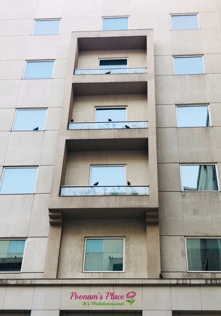 “Birds Of Five Star” by: Poonam