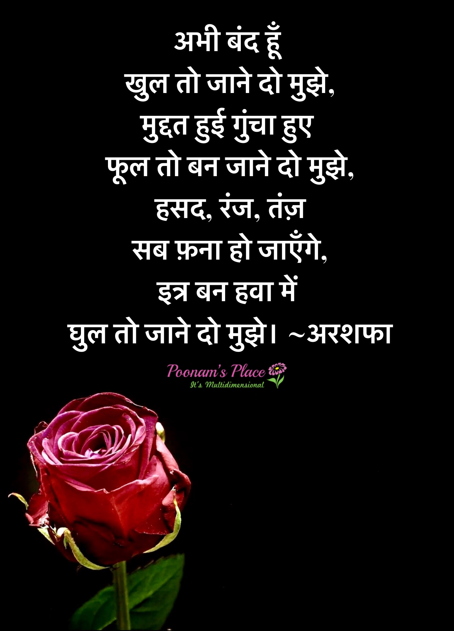 “गुंचा” ~अरशफा