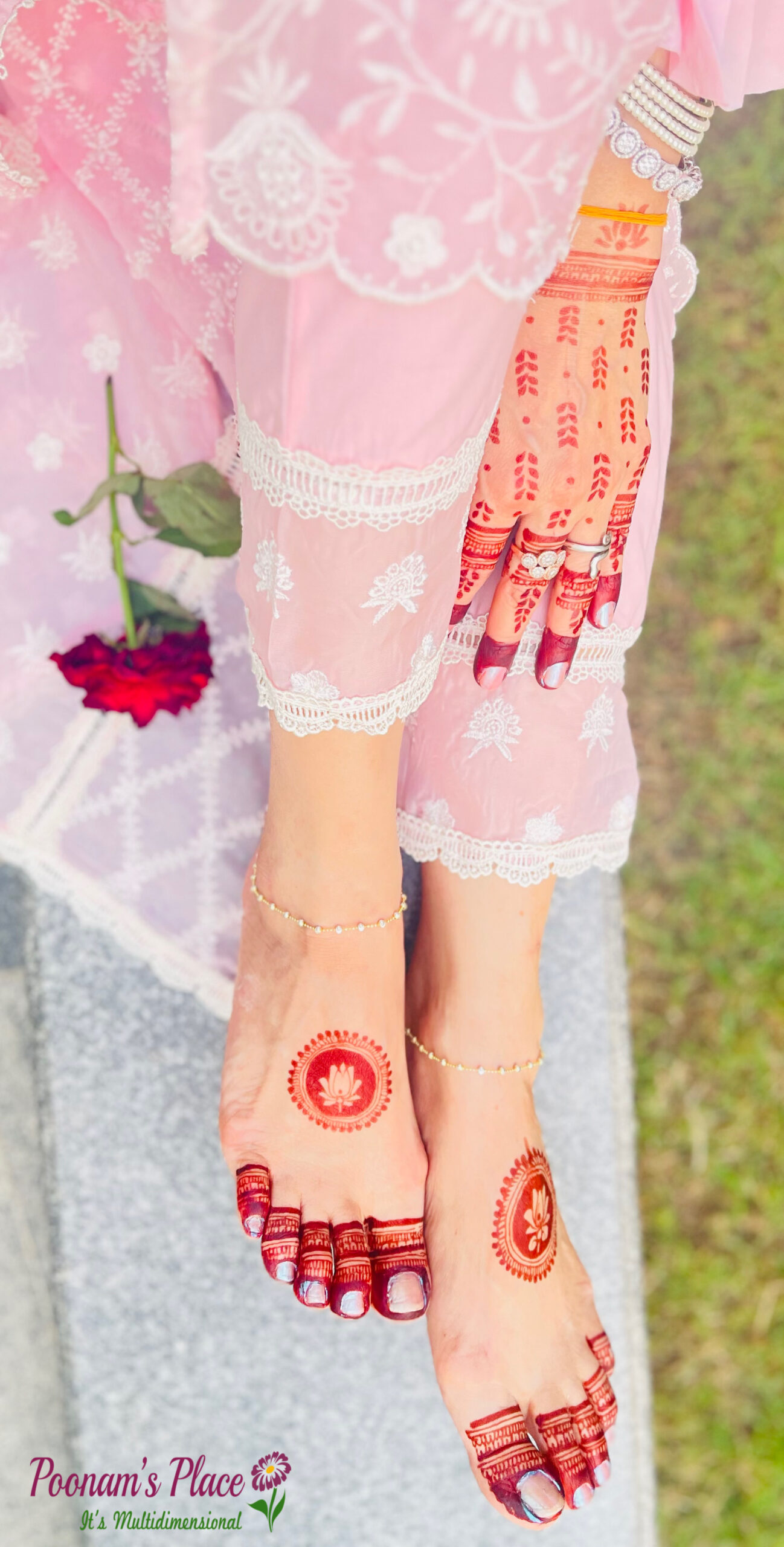 इक हसीन गुलाब 🌹 ~अरशफा