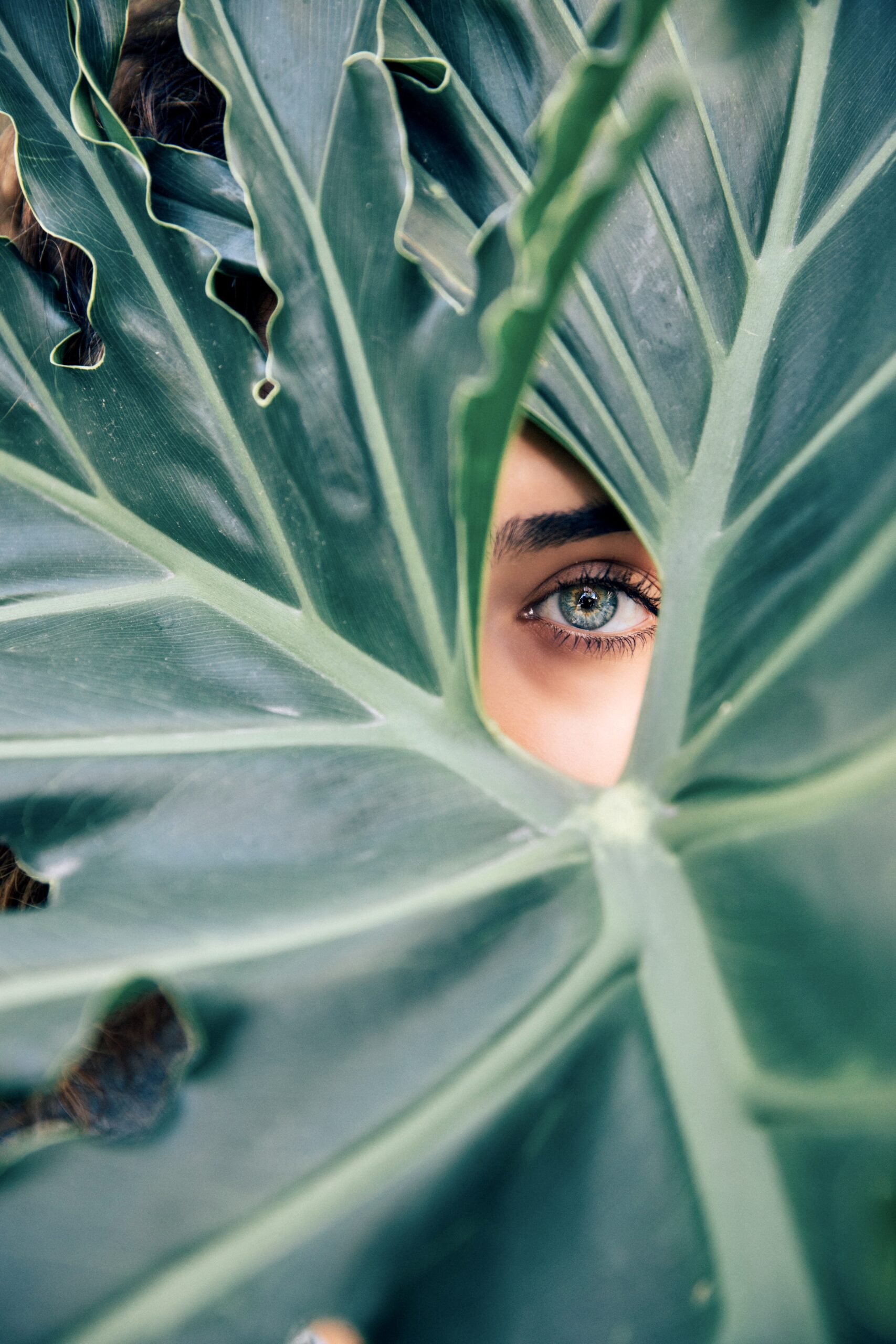 “आँखें” ~अरशफा~