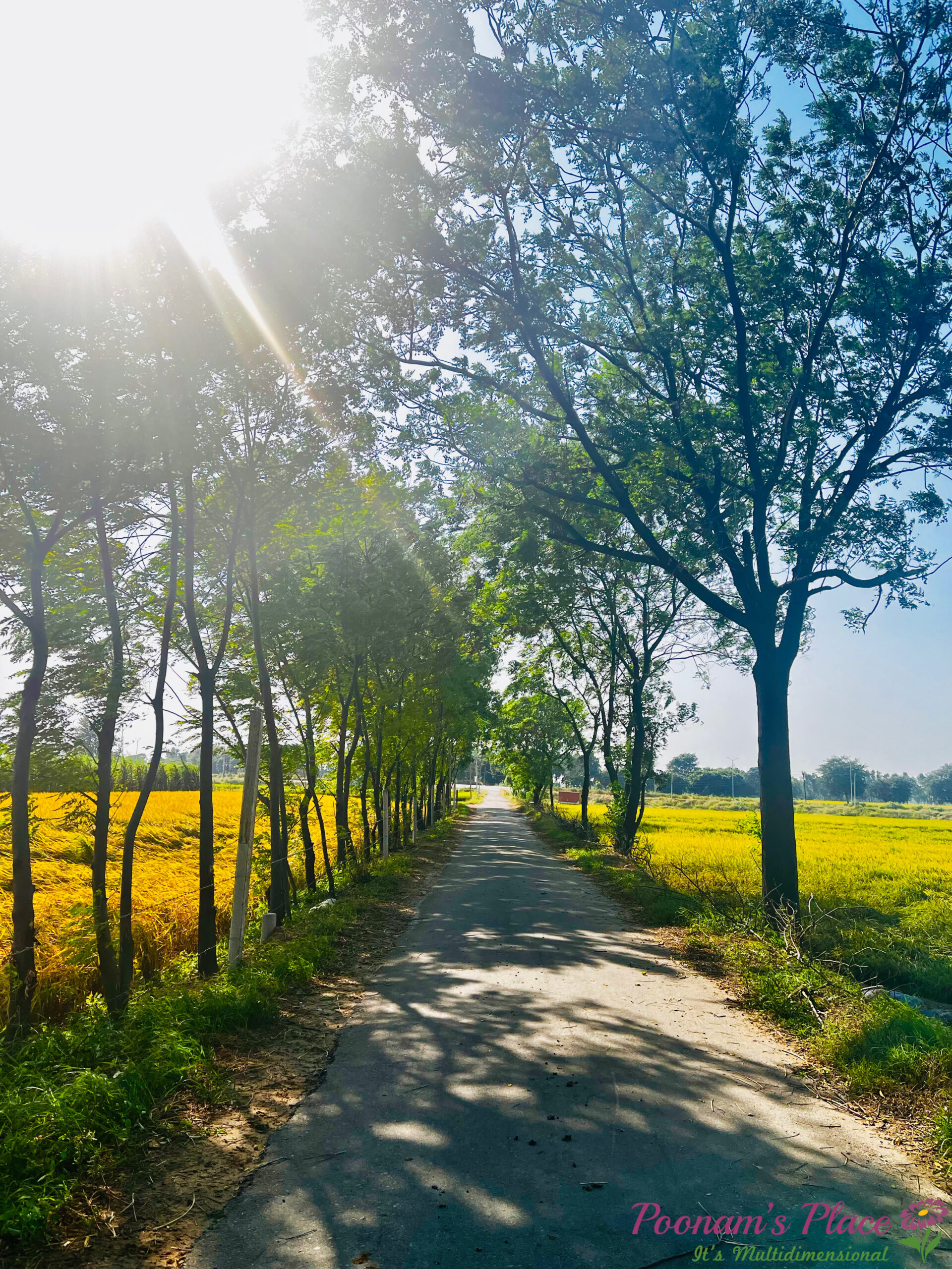 ‘Country Roads’ by: Poonam