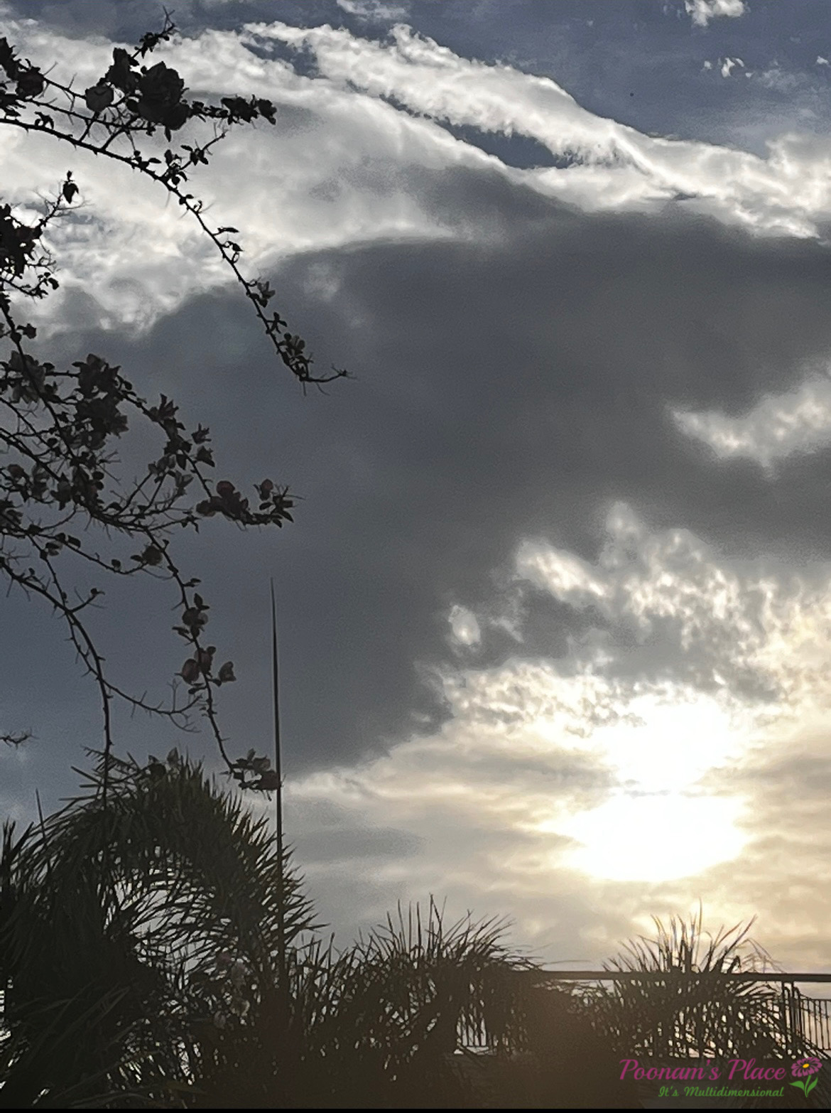 ये कौन चित्रकार है? ~अरशफा