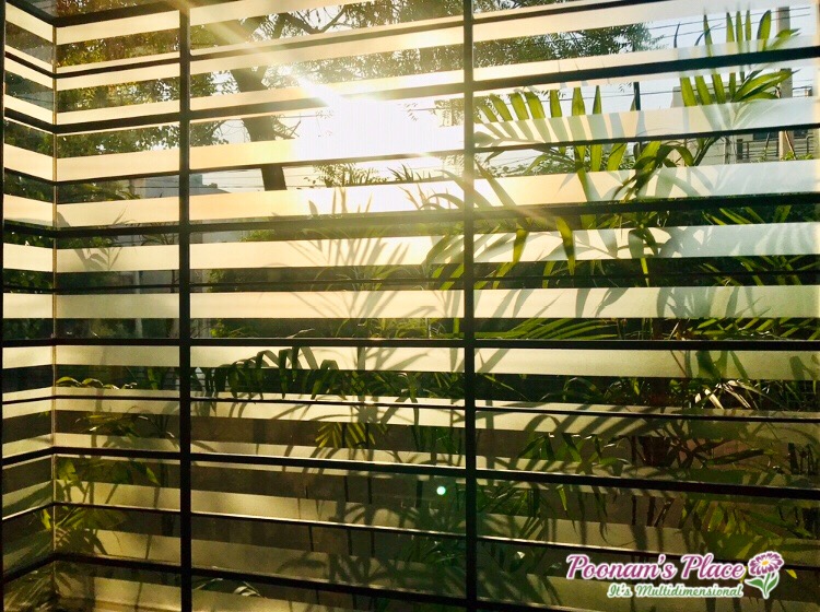 “The Light Outside” by: Poonam